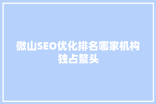 微山SEO优化排名哪家机构独占鳌头