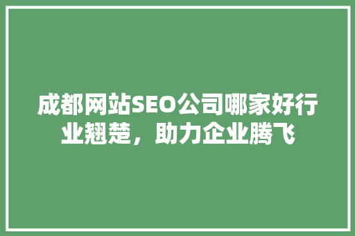 成都网站SEO公司哪家好行业翘楚，助力企业腾飞