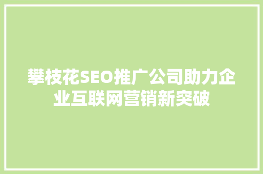 攀枝花SEO推广公司助力企业互联网营销新突破