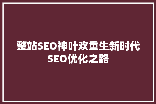 整站SEO神叶欢重生新时代SEO优化之路