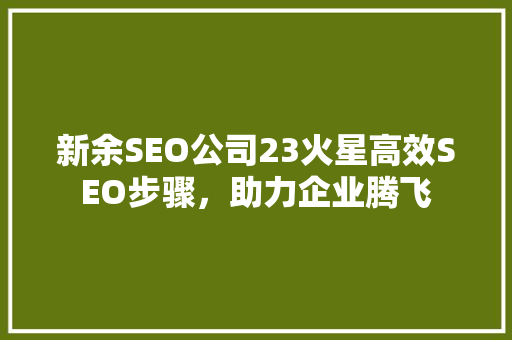 新余SEO公司23火星高效SEO步骤，助力企业腾飞