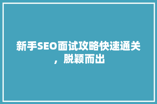 新手SEO面试攻略快速通关，脱颖而出