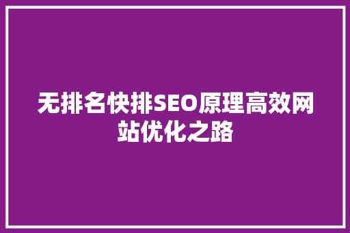 无排名快排SEO原理高效网站优化之路