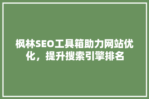 枫林SEO工具箱助力网站优化，提升搜索引擎排名