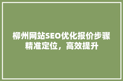 柳州网站SEO优化报价步骤精准定位，高效提升