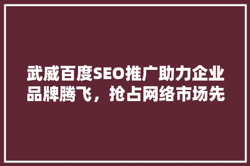 武威百度SEO推广助力企业品牌腾飞，抢占网络市场先机
