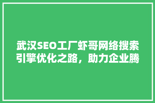 武汉SEO工厂虾哥网络搜索引擎优化之路，助力企业腾飞