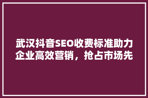 武汉抖音SEO收费标准助力企业高效营销，抢占市场先机