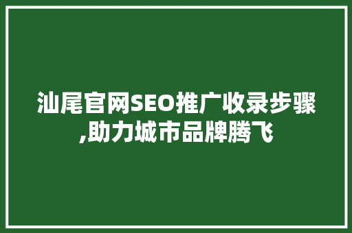 汕尾官网SEO推广收录步骤,助力城市品牌腾飞
