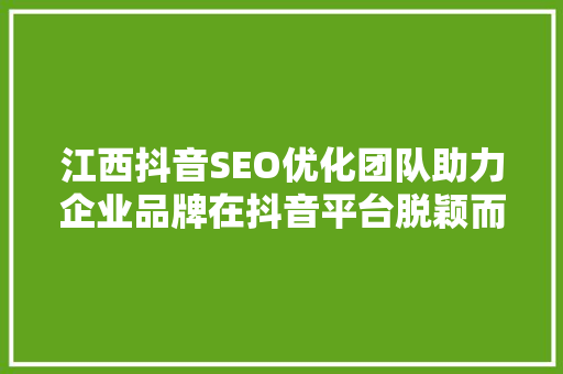 江西抖音SEO优化团队助力企业品牌在抖音平台脱颖而出