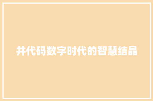 井代码数字时代的智慧结晶