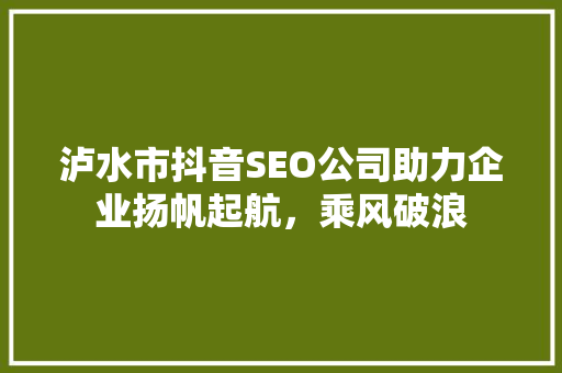 泸水市抖音SEO公司助力企业扬帆起航，乘风破浪