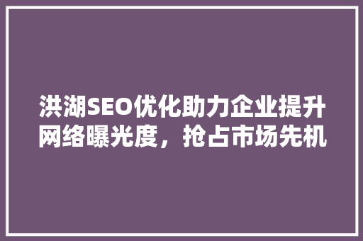 洪湖SEO优化助力企业提升网络曝光度，抢占市场先机