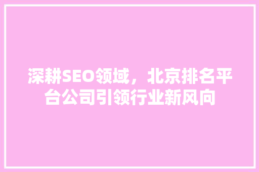 深耕SEO领域，北京排名平台公司引领行业新风向