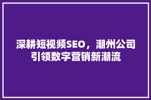 深耕短视频SEO，潮州公司引领数字营销新潮流