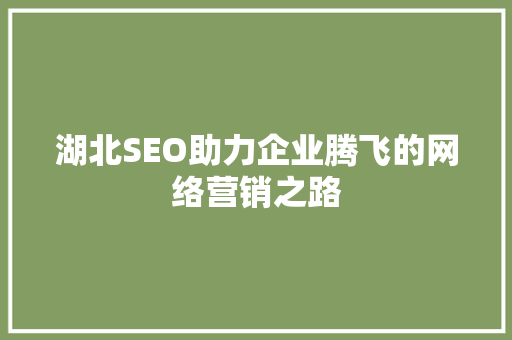 湖北SEO助力企业腾飞的网络营销之路