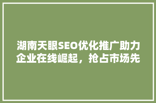 湖南天眼SEO优化推广助力企业在线崛起，抢占市场先机