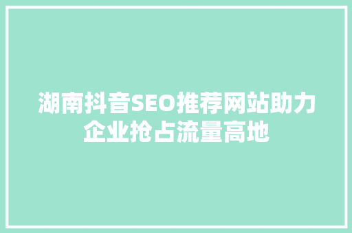 湖南抖音SEO推荐网站助力企业抢占流量高地