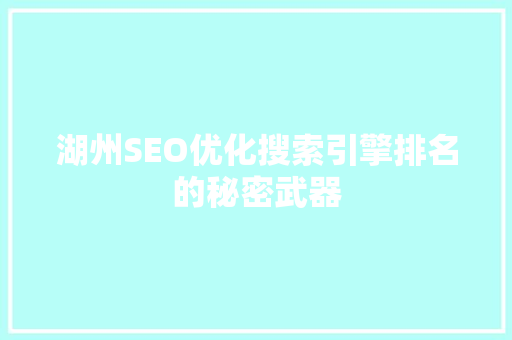 湖州SEO优化搜索引擎排名的秘密武器