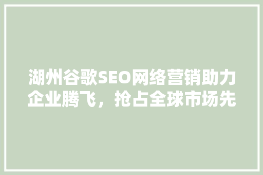 湖州谷歌SEO网络营销助力企业腾飞，抢占全球市场先机
