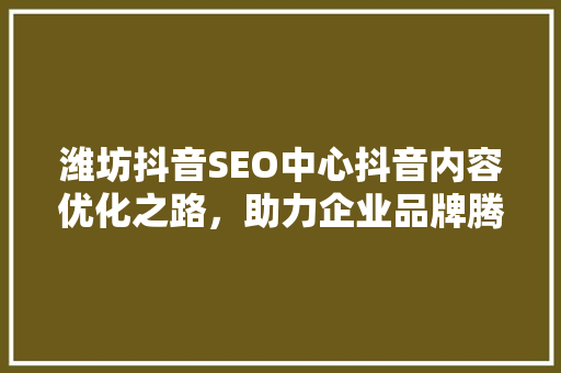 潍坊抖音SEO中心抖音内容优化之路，助力企业品牌腾飞