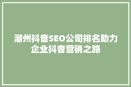 潮州抖音SEO公司排名助力企业抖音营销之路