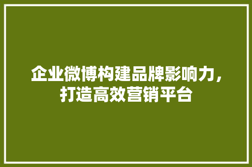 企业微博构建品牌影响力，打造高效营销平台
