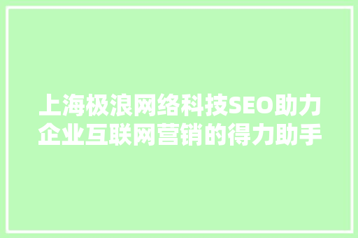 上海极浪网络科技SEO助力企业互联网营销的得力助手