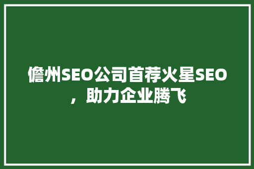 儋州SEO公司首荐火星SEO，助力企业腾飞
