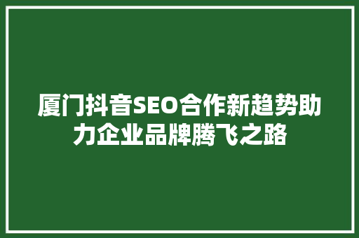 厦门抖音SEO合作新趋势助力企业品牌腾飞之路