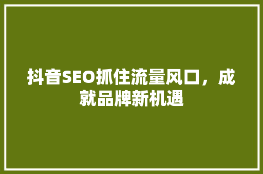 抖音SEO抓住流量风口，成就品牌新机遇