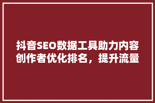 抖音SEO数据工具助力内容创作者优化排名，提升流量