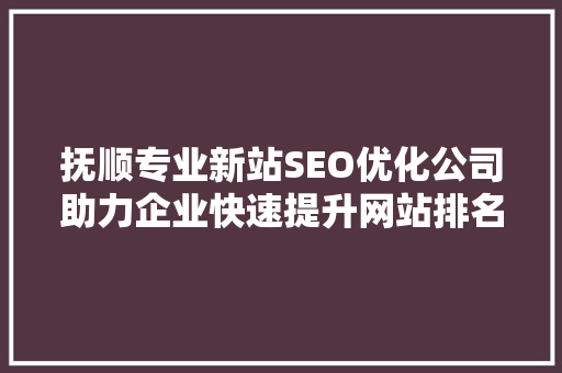 抚顺专业新站SEO优化公司助力企业快速提升网站排名，抢占市场先机