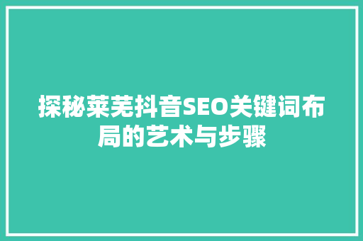 探秘莱芜抖音SEO关键词布局的艺术与步骤