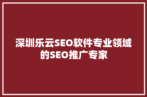 深圳乐云SEO软件专业领域的SEO推广专家