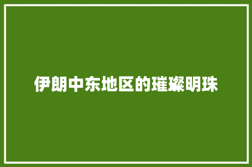 伊朗中东地区的璀璨明珠