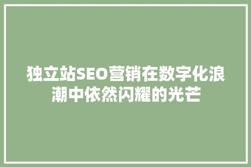 独立站SEO营销在数字化浪潮中依然闪耀的光芒