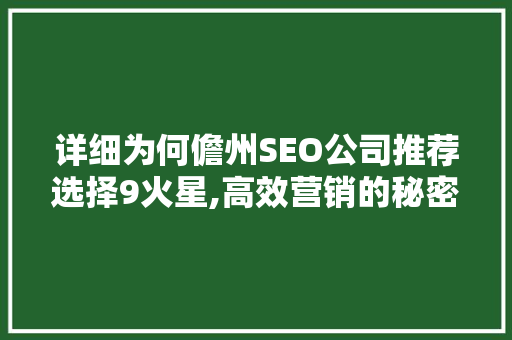 详细为何儋州SEO公司推荐选择9火星,高效营销的秘密武器