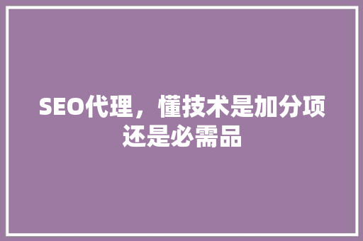 SEO代理，懂技术是加分项还是必需品