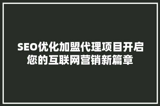 SEO优化加盟代理项目开启您的互联网营销新篇章