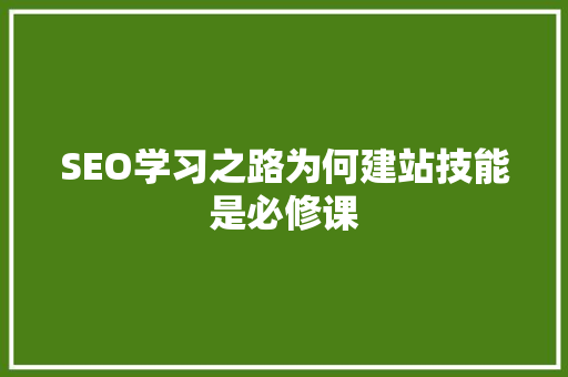 SEO学习之路为何建站技能是必修课