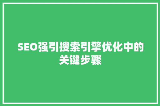 SEO强引搜索引擎优化中的关键步骤