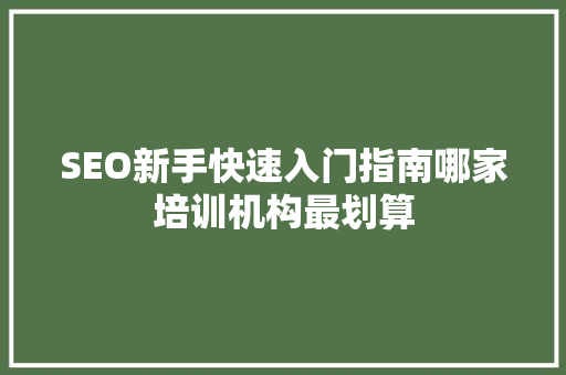 SEO新手快速入门指南哪家培训机构最划算