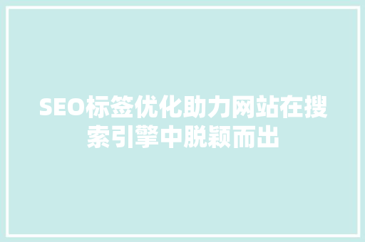 SEO标签优化助力网站在搜索引擎中脱颖而出