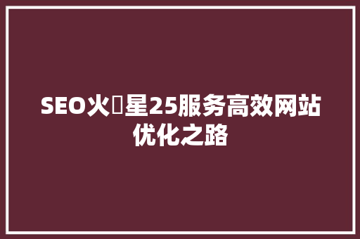 SEO火乛星25服务高效网站优化之路