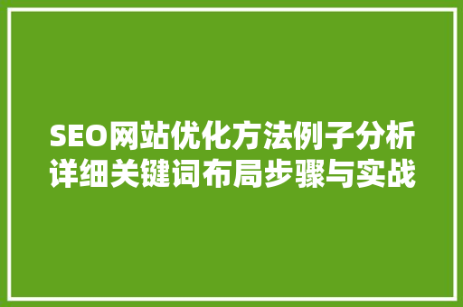 SEO网站优化方法例子分析详细关键词布局步骤与实战成果