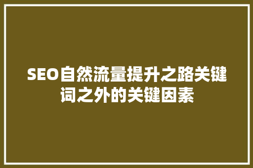 SEO自然流量提升之路关键词之外的关键因素