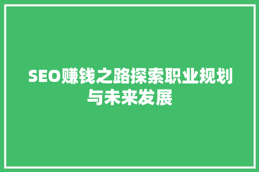 SEO赚钱之路探索职业规划与未来发展