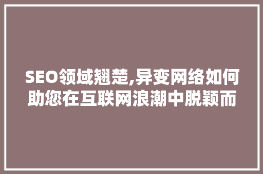 SEO领域翘楚,异变网络如何助您在互联网浪潮中脱颖而出
