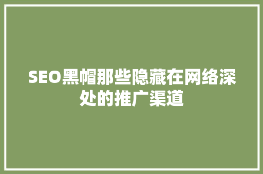 SEO黑帽那些隐藏在网络深处的推广渠道